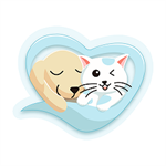 述寵app