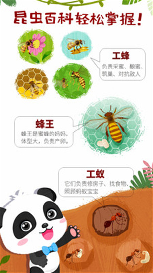 奇妙昆蟲世界3