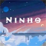 巢ninho