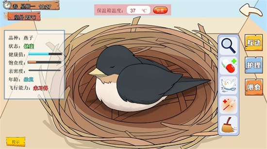 鳥巢2