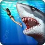 憤怒的鯊魚獵人