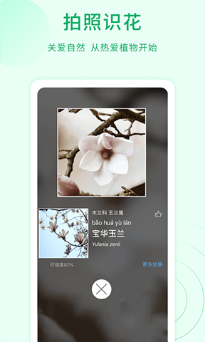 花草識別1
