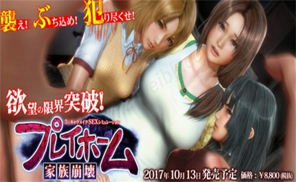 playhome家族崩壞3