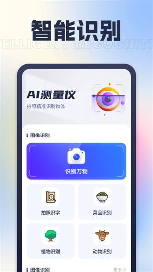 ai測(cè)量儀2