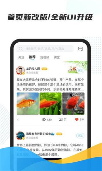 龍巔0