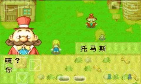 牧場物語女孩版0