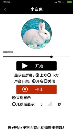 整人寵物惡作劇1
