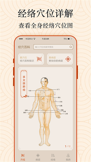 ai經(jīng)絡(luò)穴位圖0