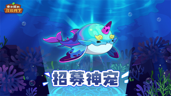 史小坑的花前月下1