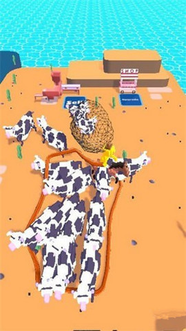 動物捕獲1