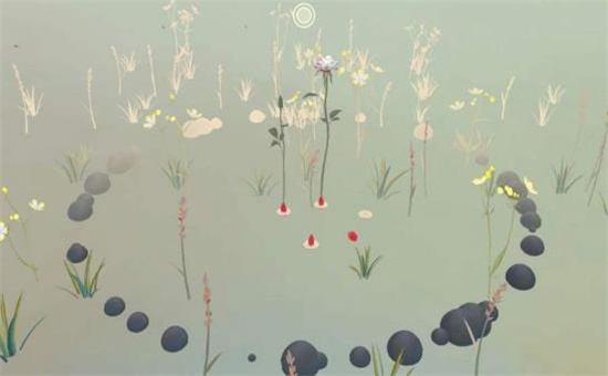 玫瑰花園0