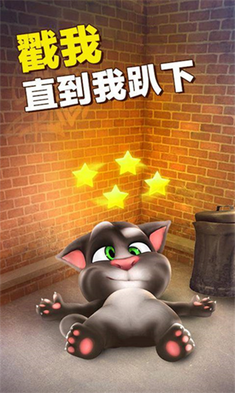 學(xué)舌貓2