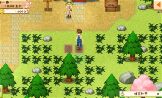 牧場物語2