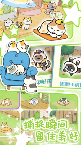 地鐵遇見貓2