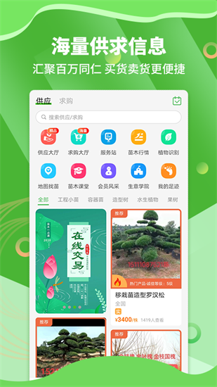 苗木通0
