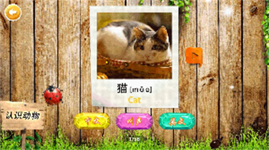 認識動物1