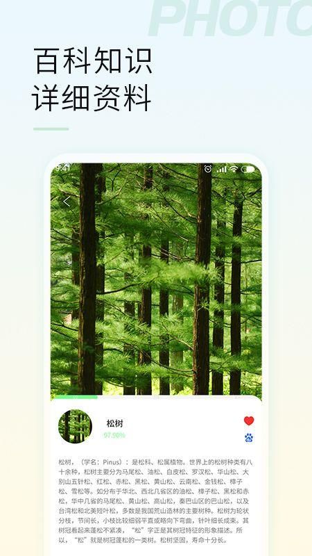 智能拍照識物3