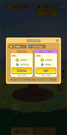 蘋果多多1