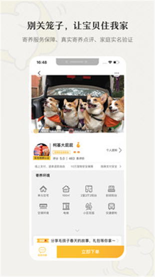 小狗在家寵物寄養3