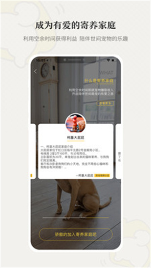 小狗在家寵物寄養2