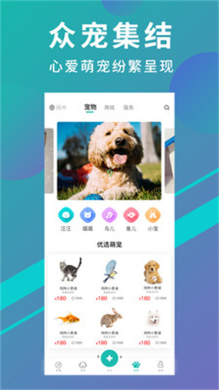寵都3