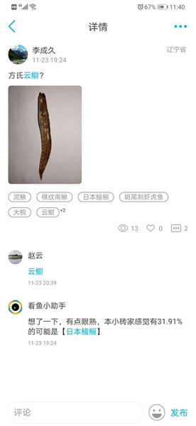 看魚app0