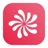 花火交易所app免費下載