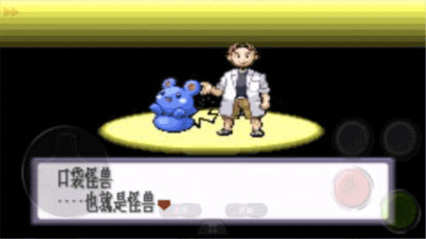 口袋妖怪紅寶石金手指2