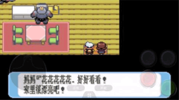 口袋妖怪紅寶石金手指1