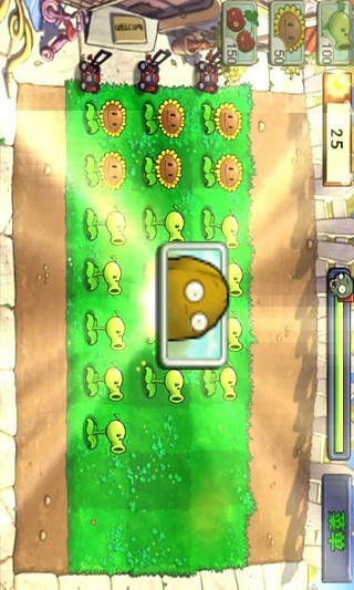 植物大戰(zhàn)僵尸 3.1最終版0