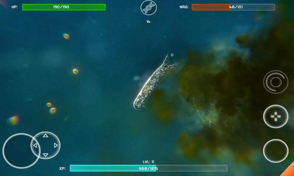 孢子模擬器中文版0