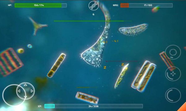 孢子模擬器中文版1