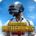 pubg輕量版體驗服