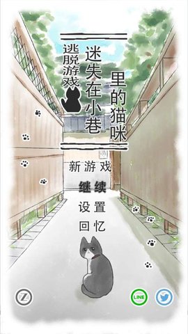 迷途貓0