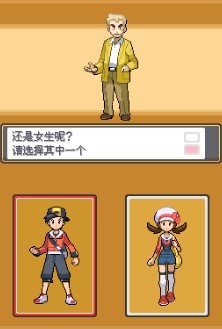 口袋妖怪心金中文版2