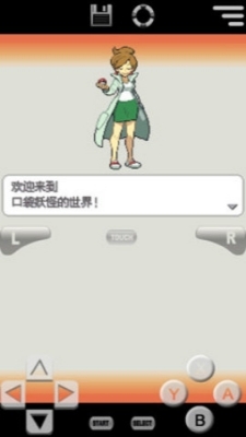 口袋妖怪白2中文版1