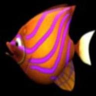 吞食魚正版