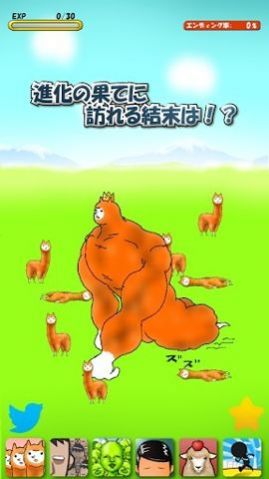兄貴羊駝 漢化版0