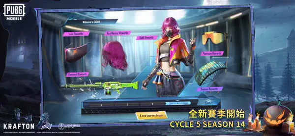 和平精英國際服正版5