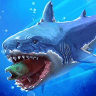 鯊魚(yú)捕食中文版