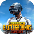 pubg國際服 手游2024最新版