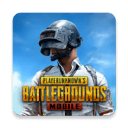 pubg國際服 官網(wǎng)正版