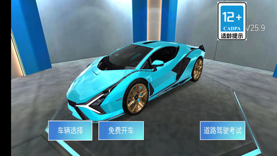 模擬駕駛高手0