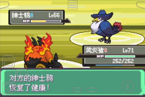 口袋妖怪 漢化版1