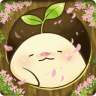 開心曼陀羅(mandora)