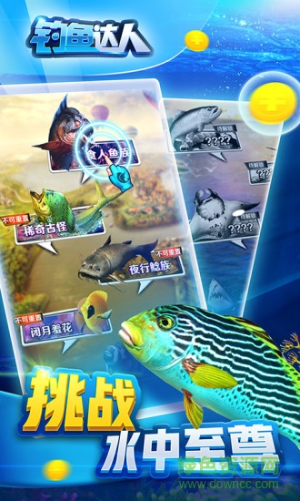 釣魚達人內購修改版1