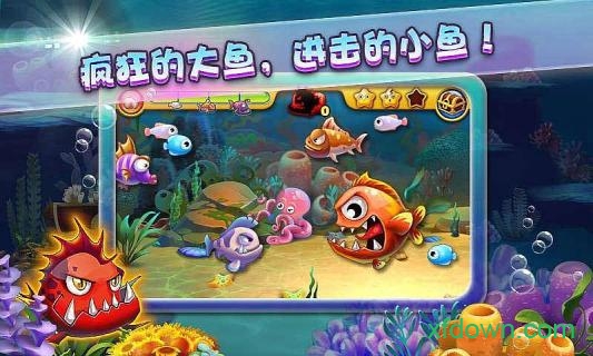 大魚吃小魚3奪寶大冒險中文版0