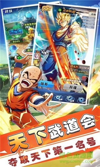 賽亞龍珠0