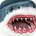 鯊魚模擬器 v1.3安卓版