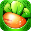 保衛(wèi)蘿卜 單機版v2.0.4